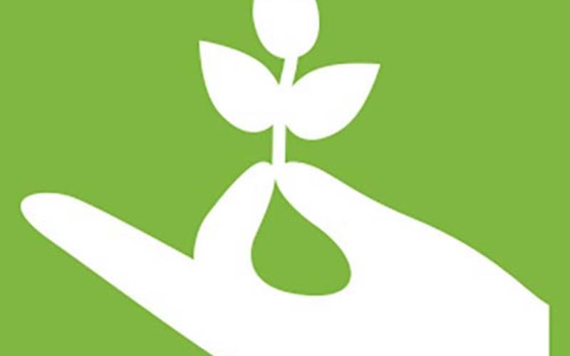green lab initiative